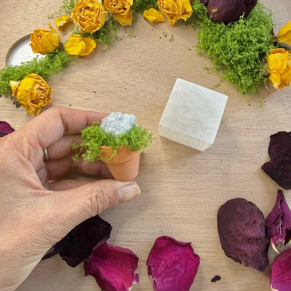 Celestite succulent & Selenite Cube | Peace • Angelic Energy • Spiritual Clarity - Picture 3 of 6